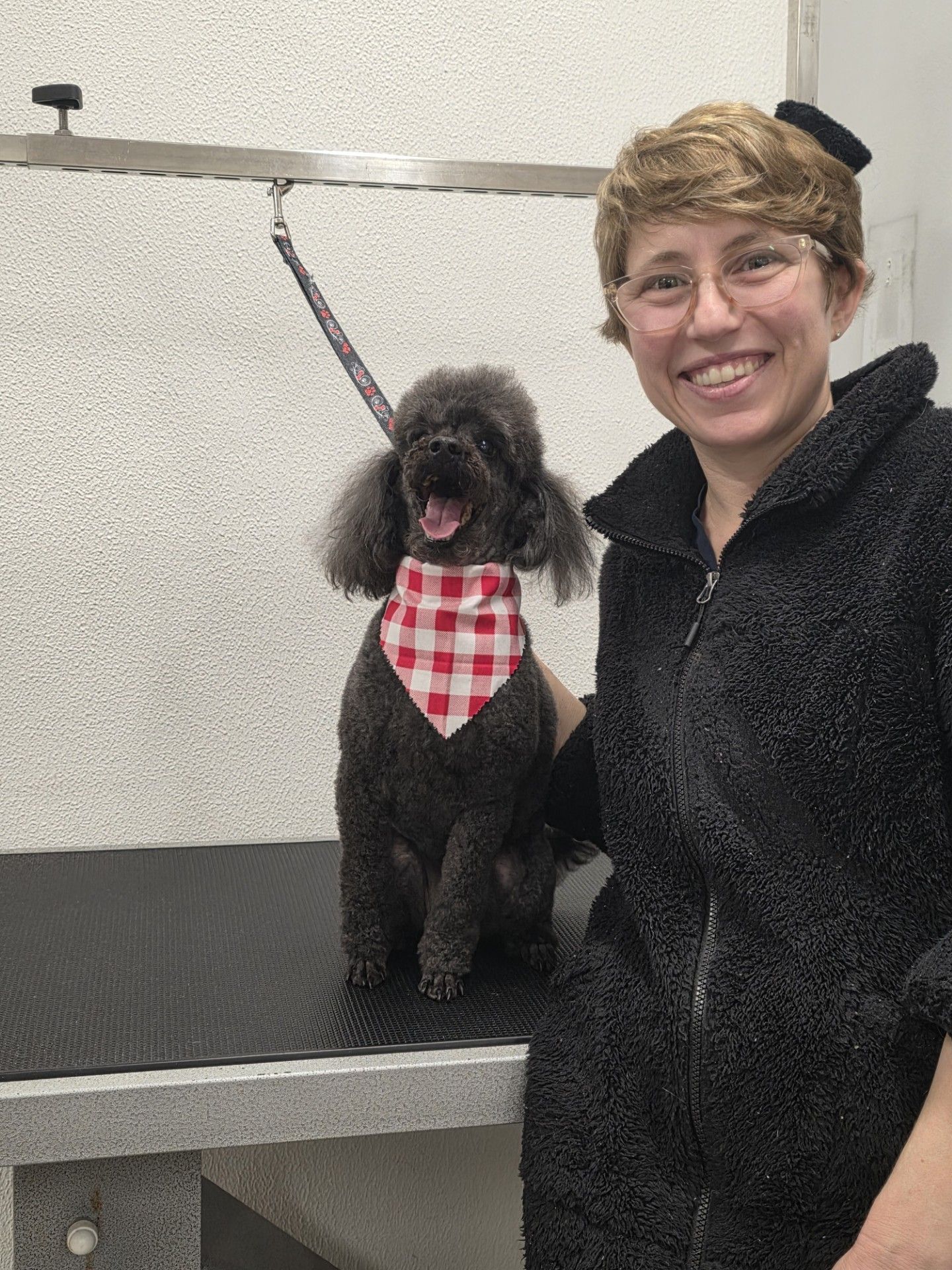 Dog being groomed at a salon; grooming tools held near its paws.