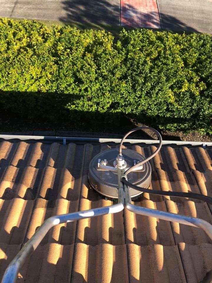 a Pressure Washer Cleaning a Brown Tile Roof Next to a Green Hedge — SEQ Roofing & Painting in Tugun, QLD