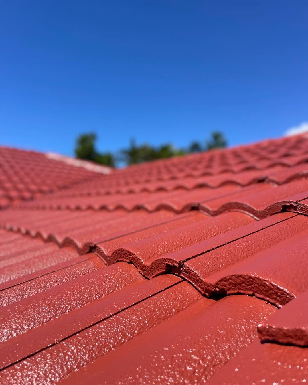 Red tiled roof against a clear blue sky. — SEQ Roofing & Painting in Mudgeeraba, QLD