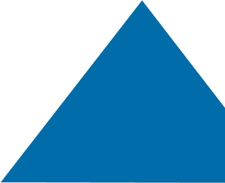 polygon image