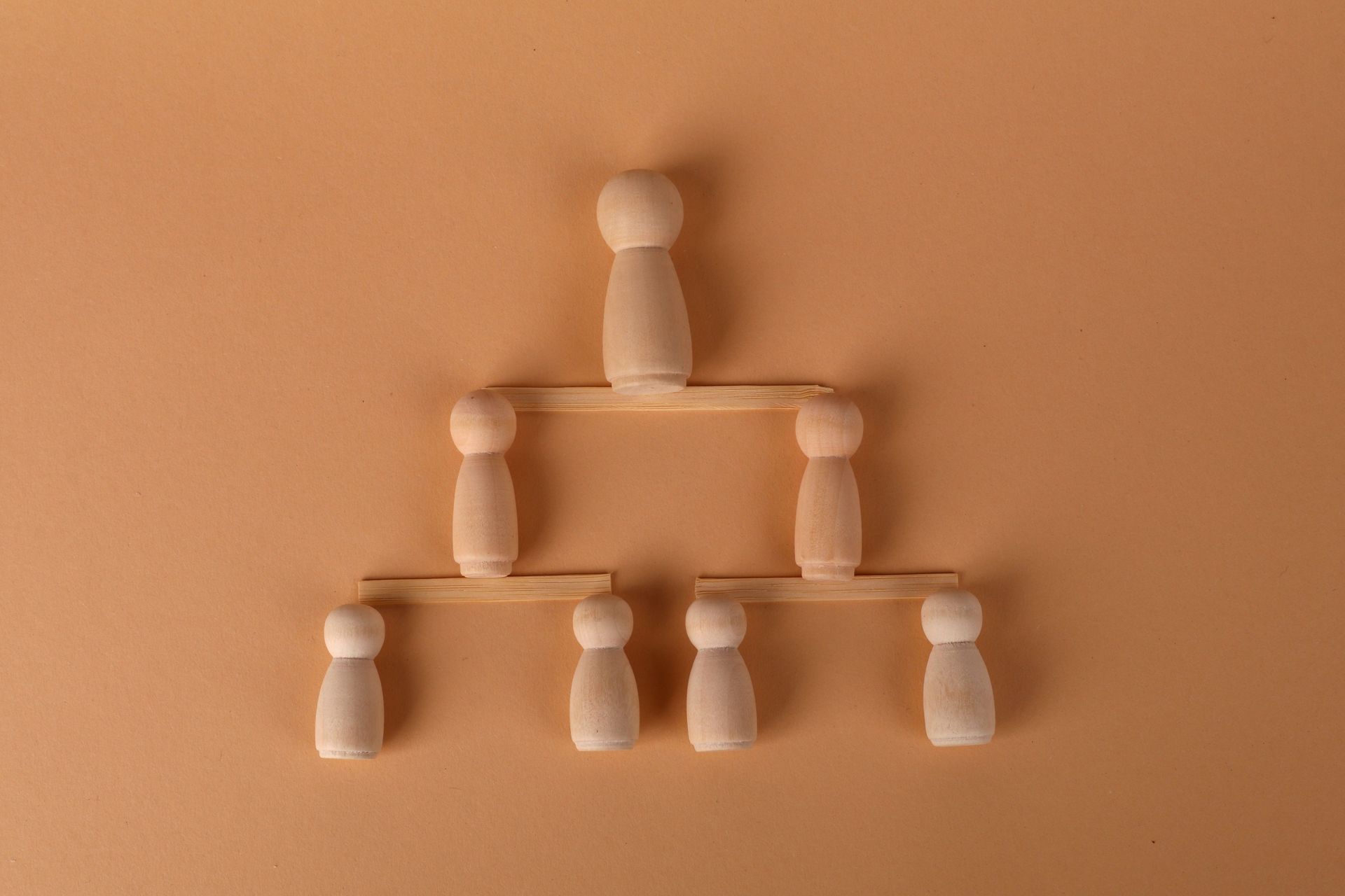 representation of organizational connections