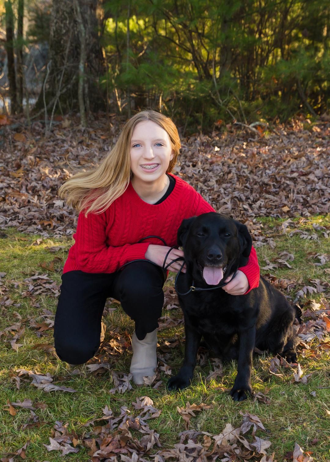 Meet our friendly, happy Labradors at Knollwood