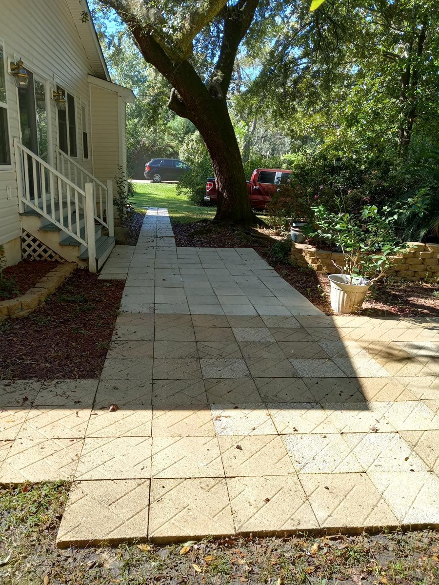 A walkway leading to a house with a tree in the background.