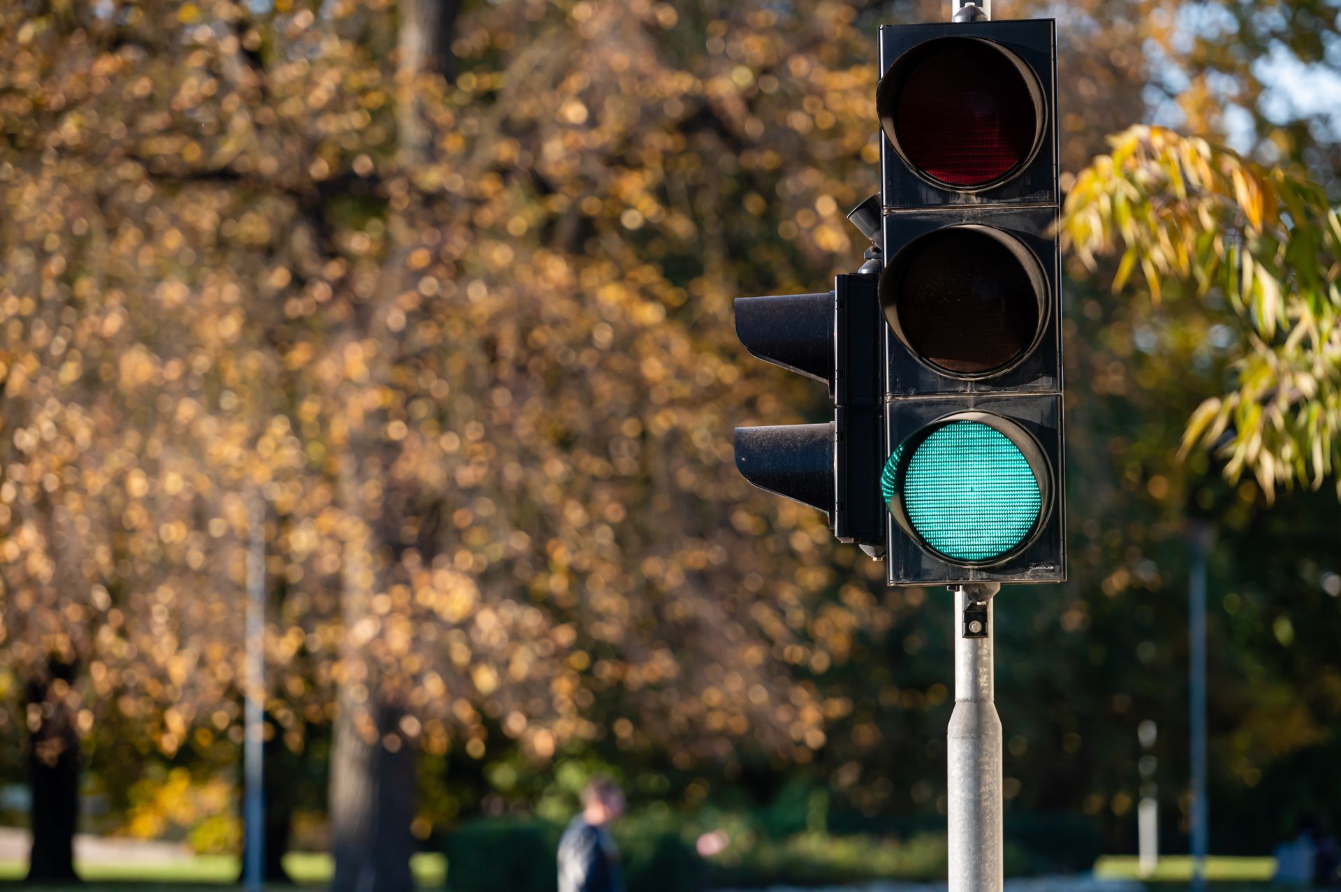 A traffic light with a green light on it in a park.