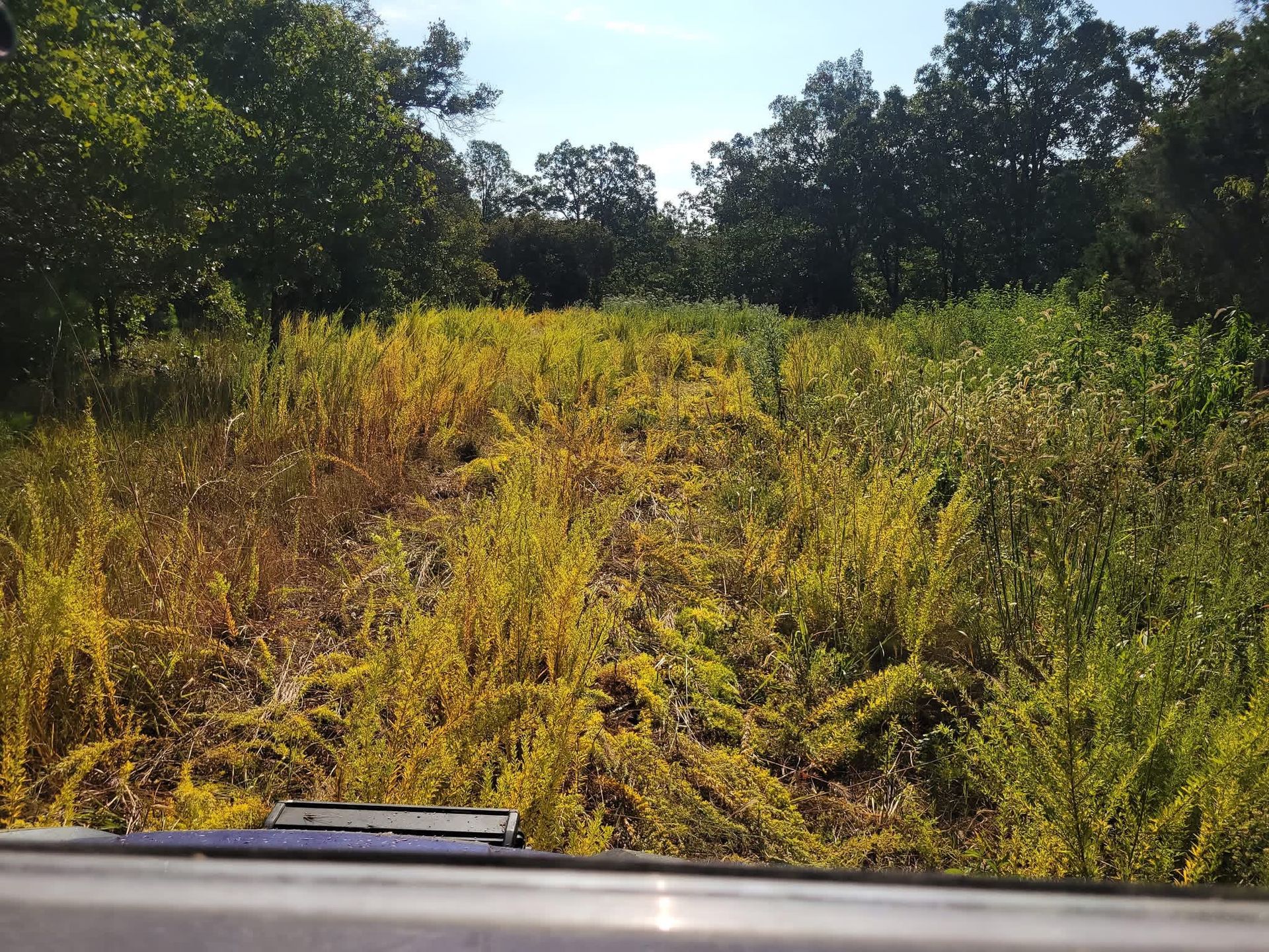 Learn About Invasive Species | MoNGC