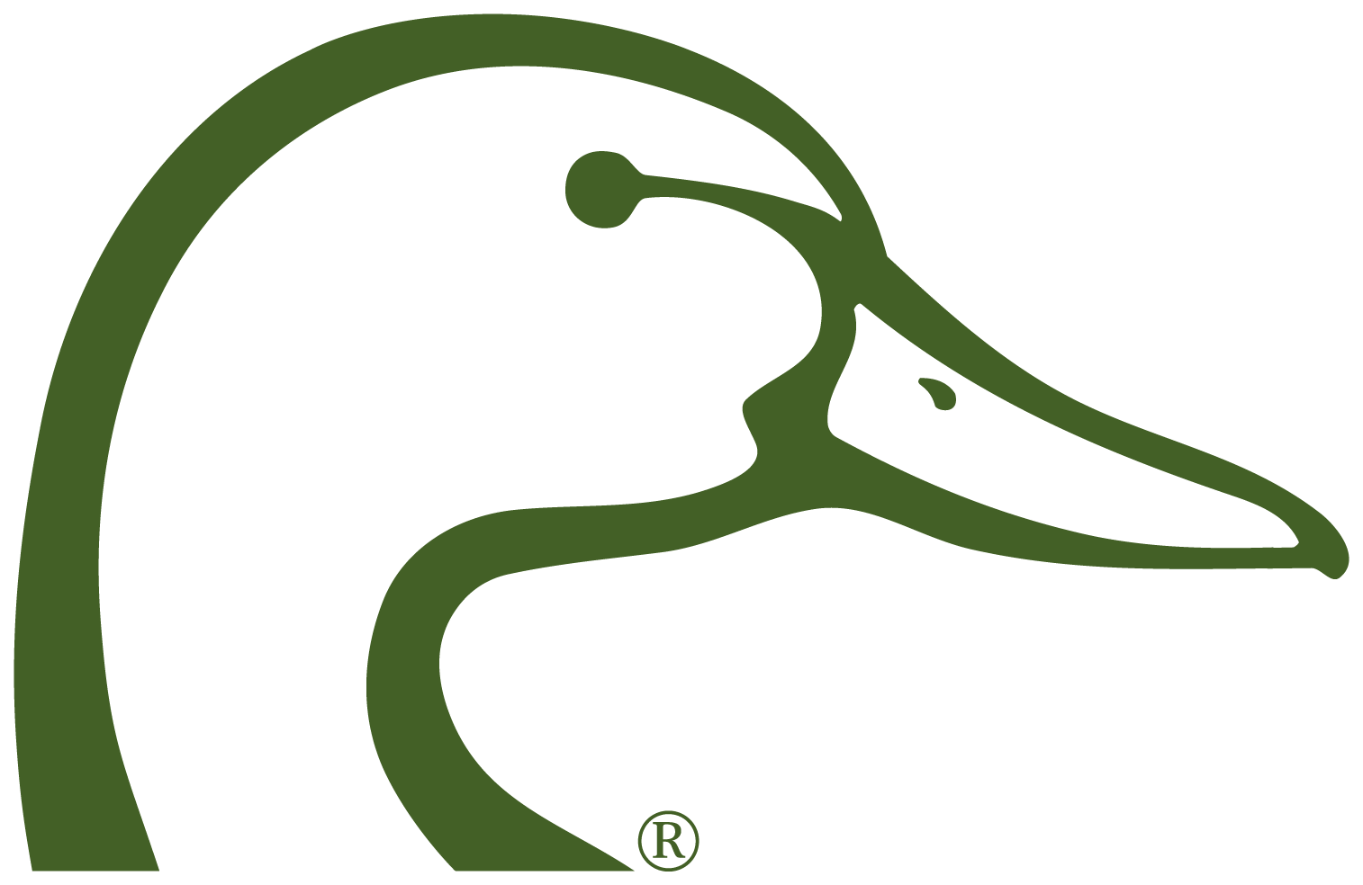 green line-drawing logo of a duck's head in profile facing right.