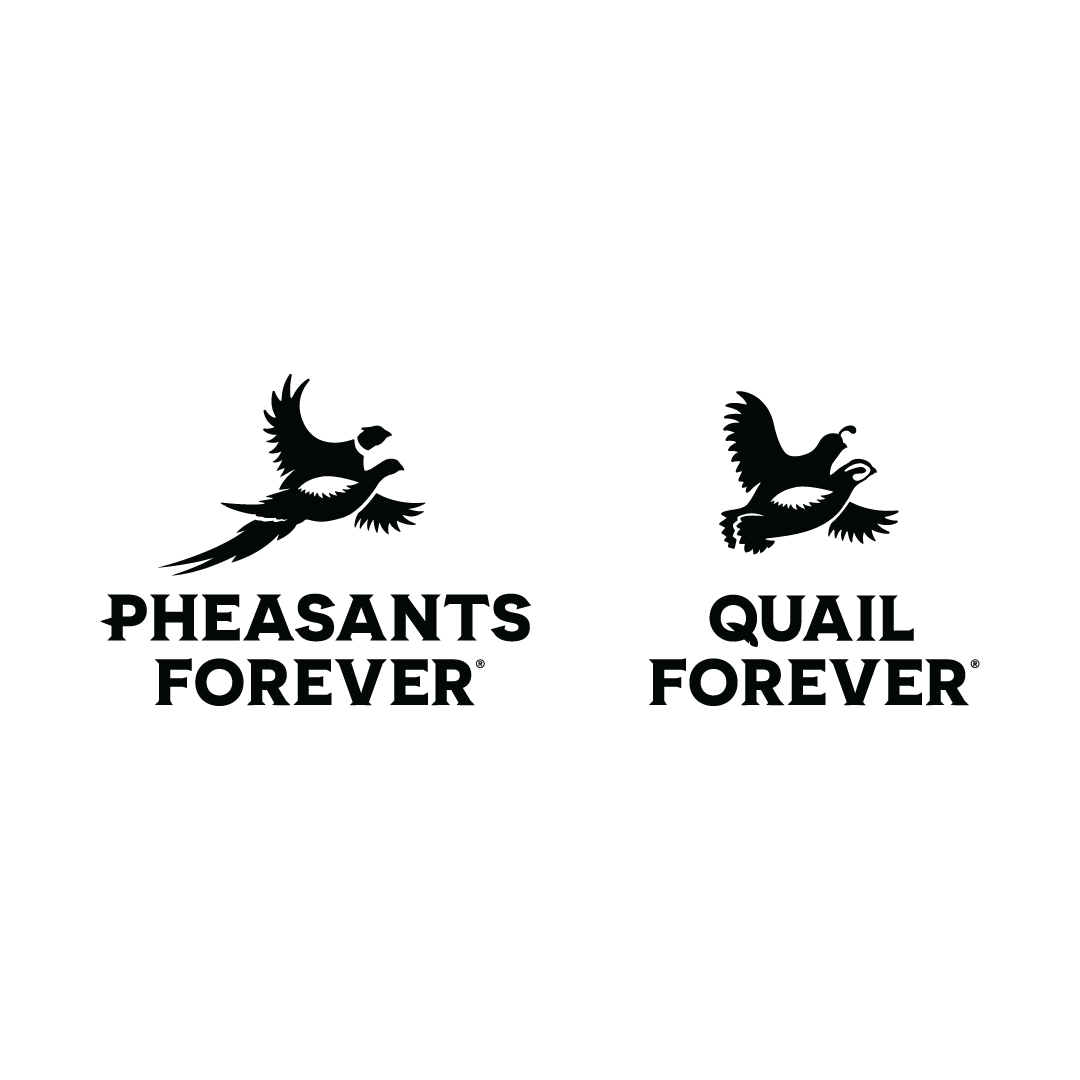 Two black logos with flying birds: