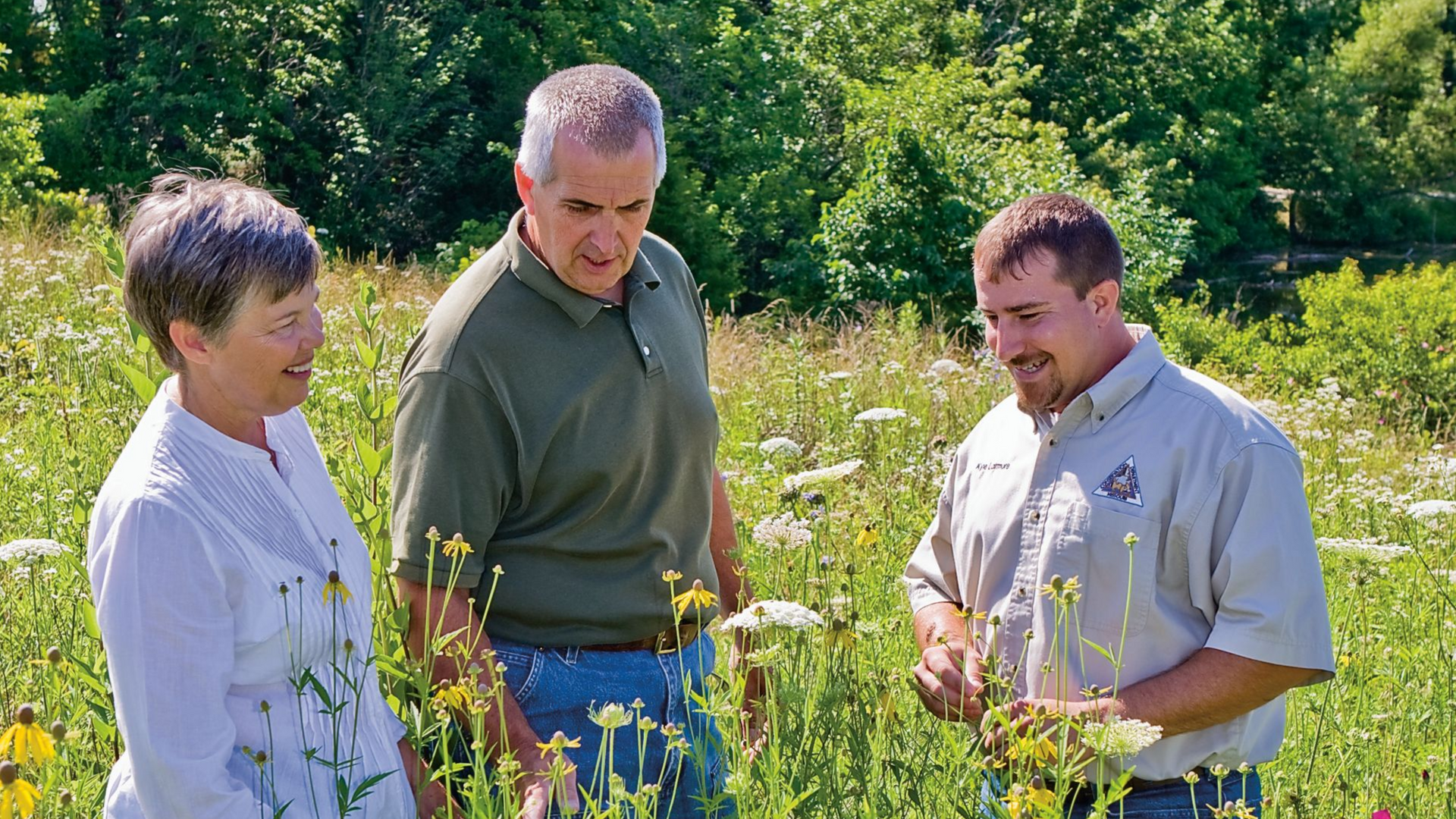 Three people examining wildflowers in a sunlit field, discussing plants.