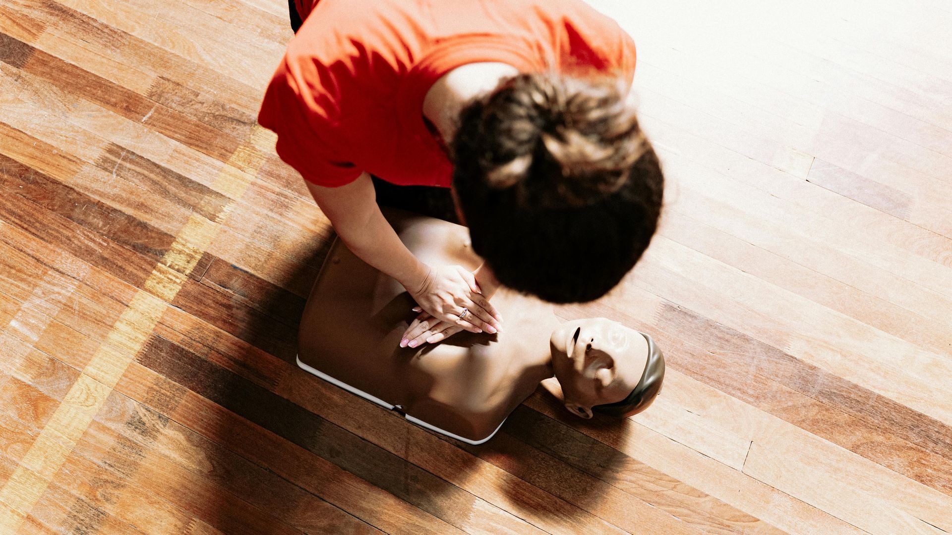Person in red shirt playing with a small dog on a wooden floor