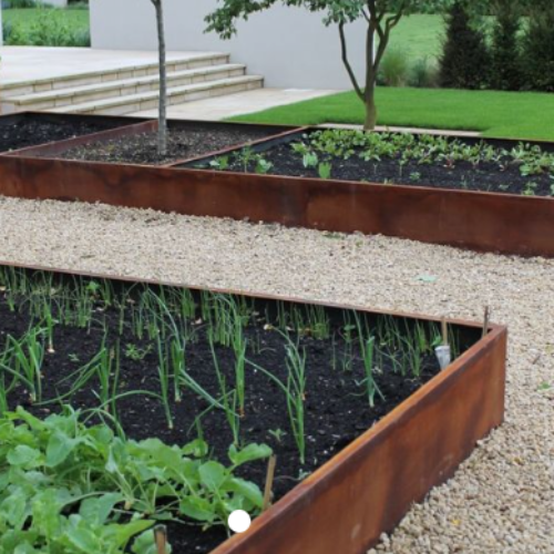 A garden filled with lots of plants and gravel
