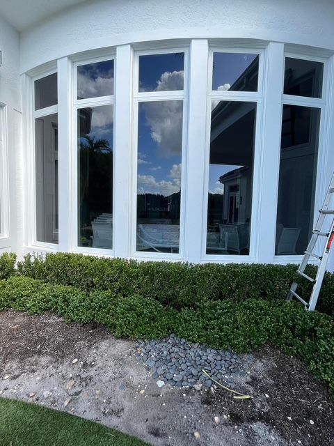 A curved wall of five large windows with white frames above a green hedge and a dirt patch with a ladder to the right.