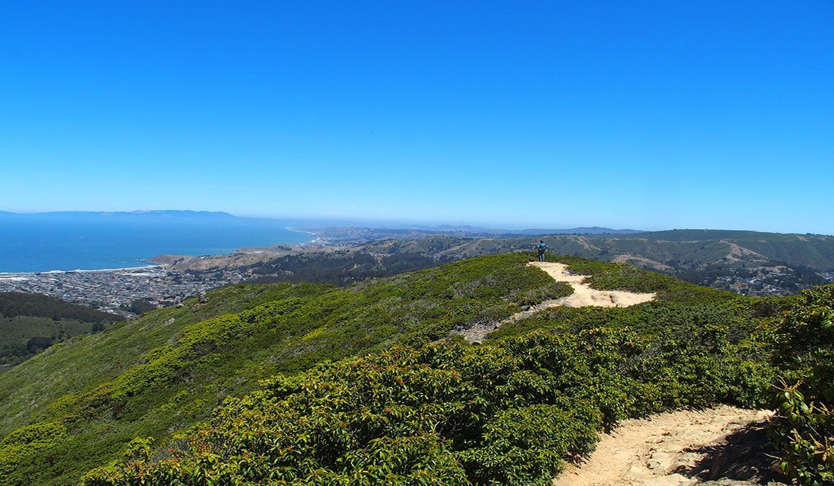 A trail going up a hill with a view of the ocean.