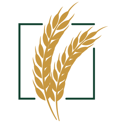 Silos on the square Favicon