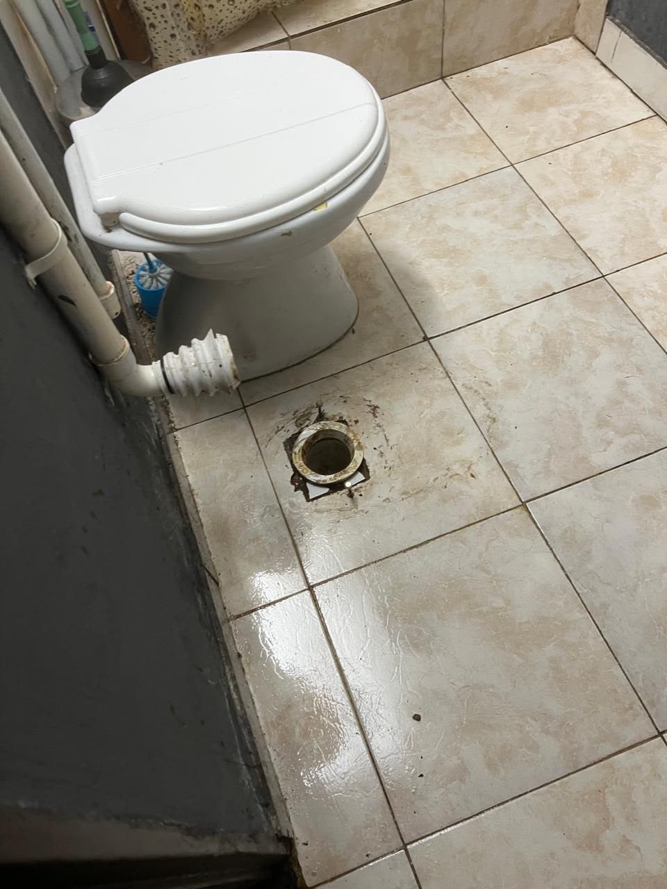 Baño pequeño con un inodoro blanco y un desagüe de piso a la vista sobre baldosas beige.