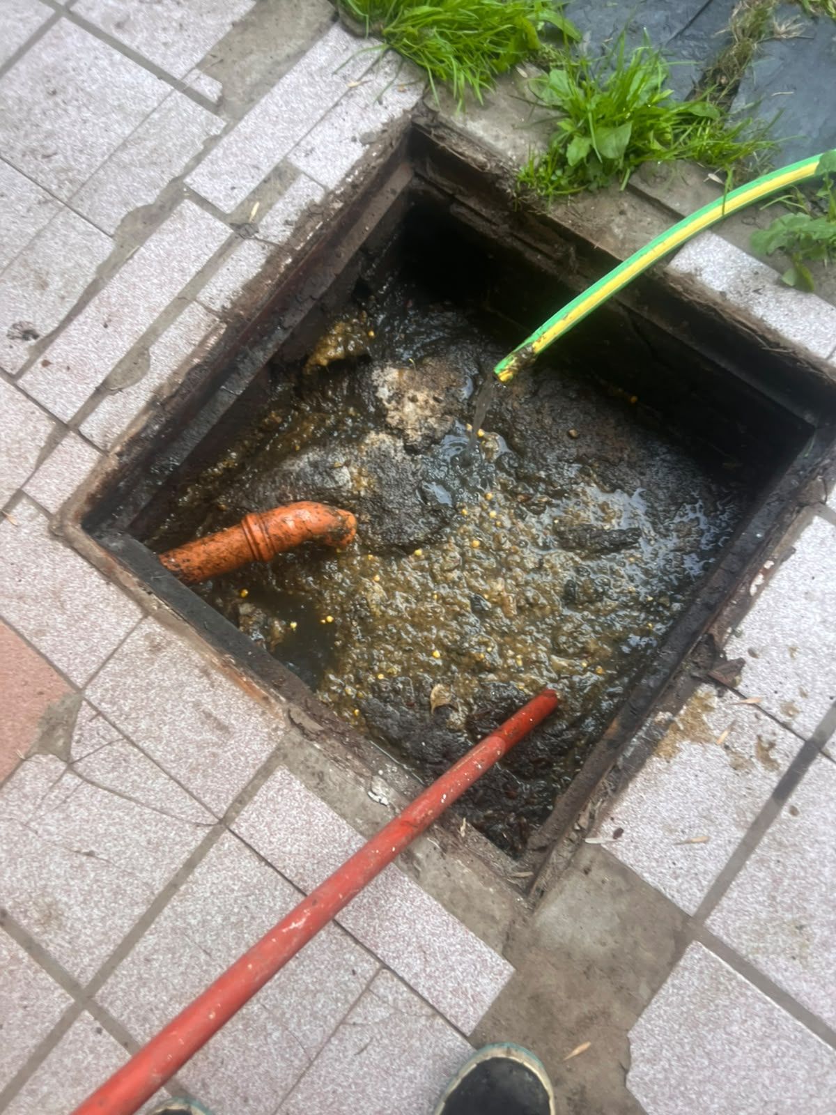 Desagüe de alcantarillado abierto con agua sucia, mangueras rojas y verdes y adoquines alrededor