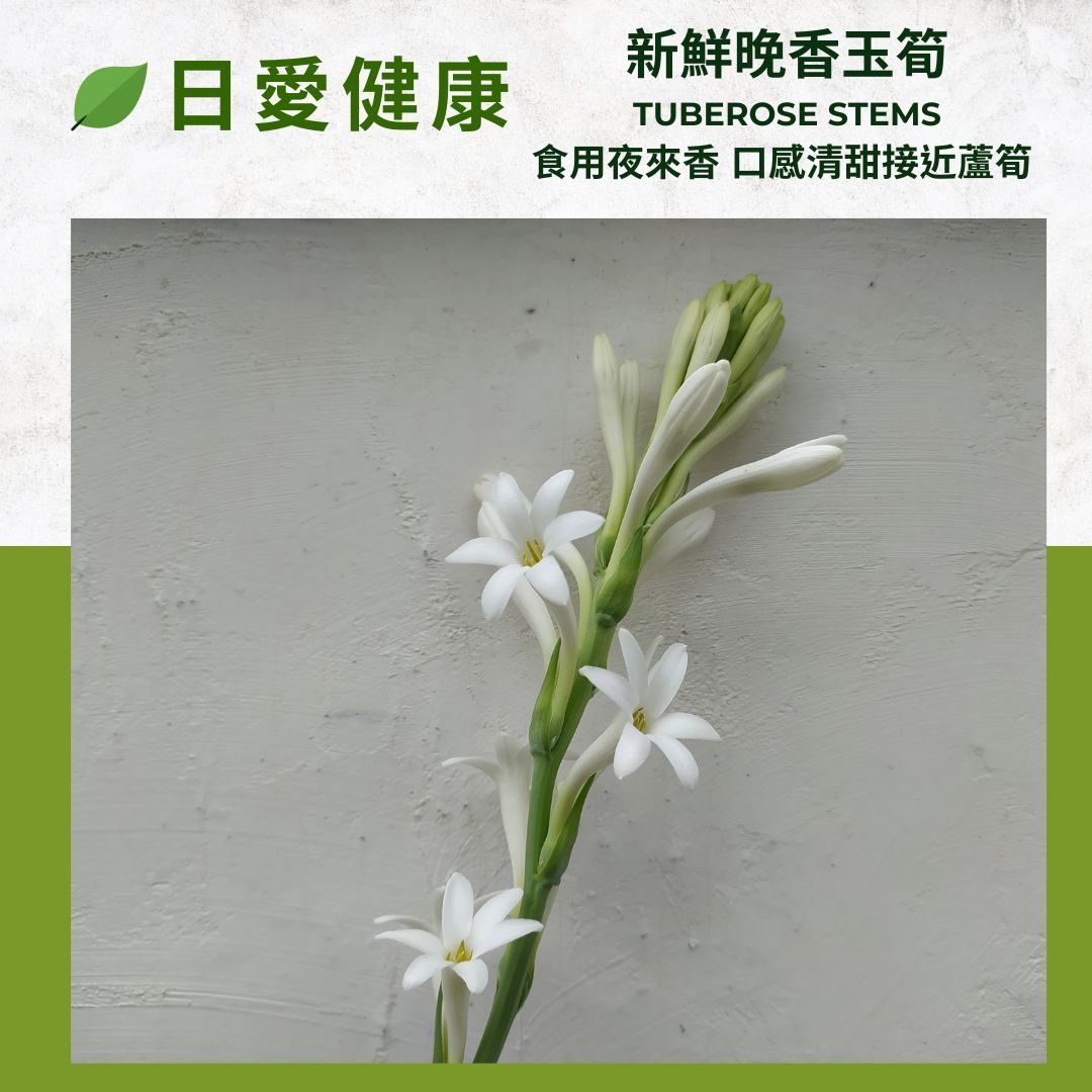 晚香玉筍 Tuberose shoots