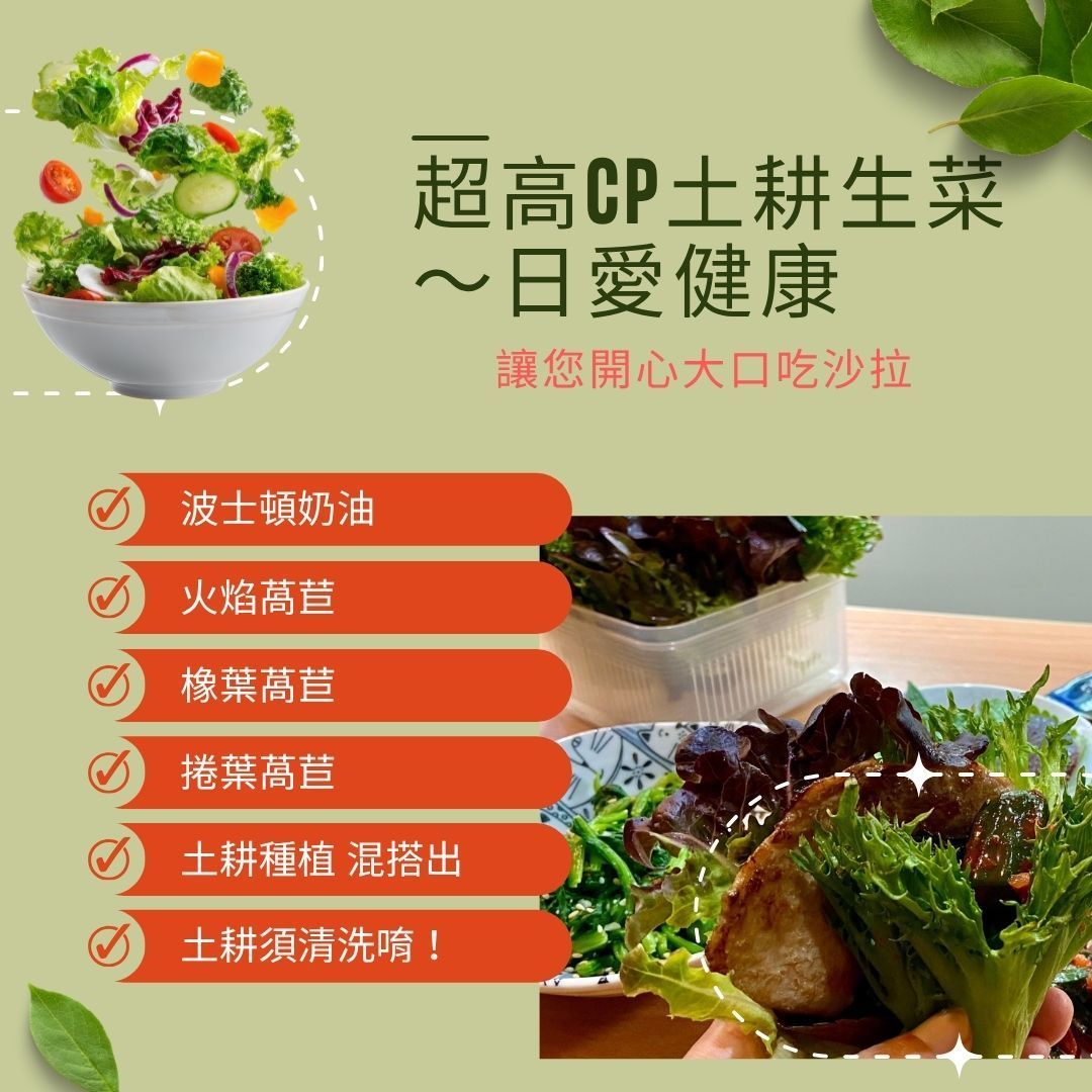 大地土耕綜合生菜組|超高CP組
