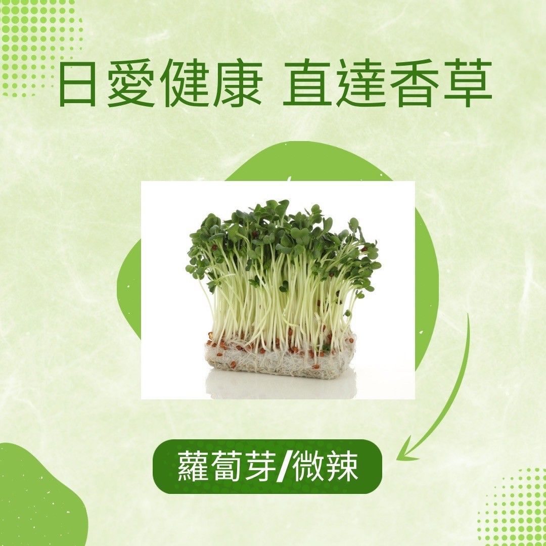 芽菜類