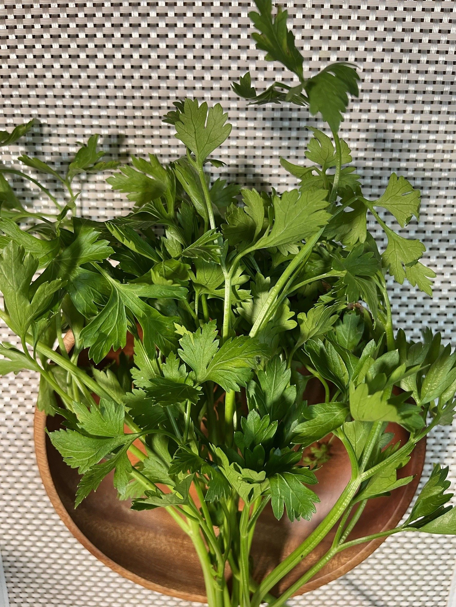香草類