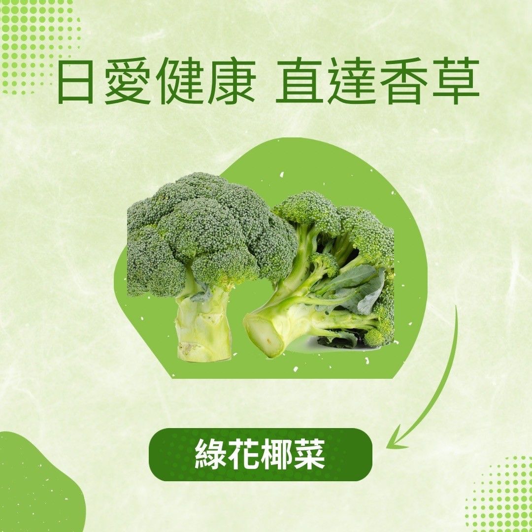 葉菜類