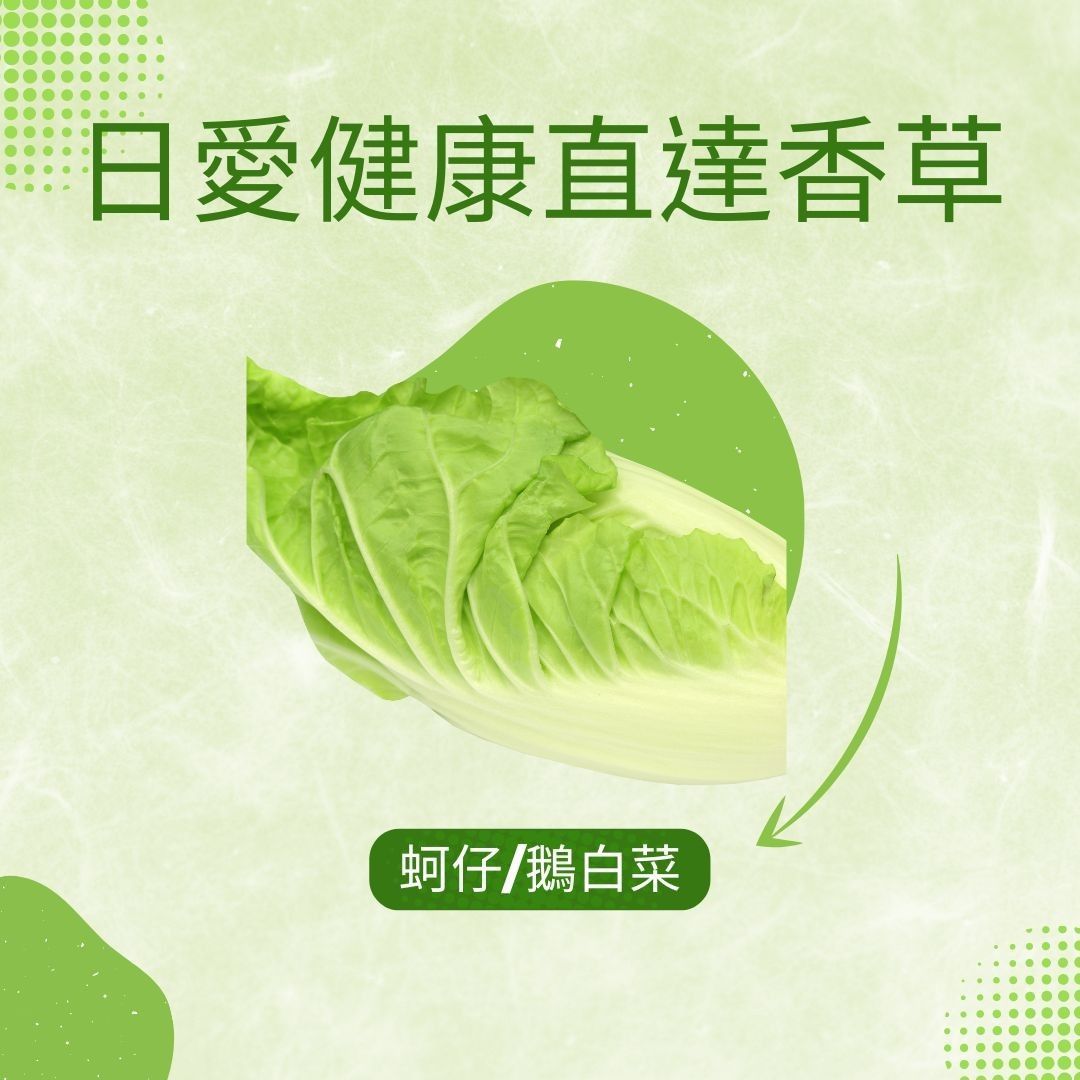 鵝白菜300克