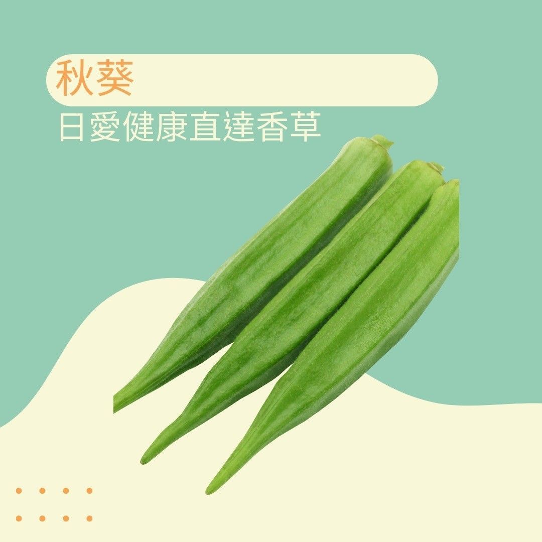 秋葵300克(5月-11月供應)