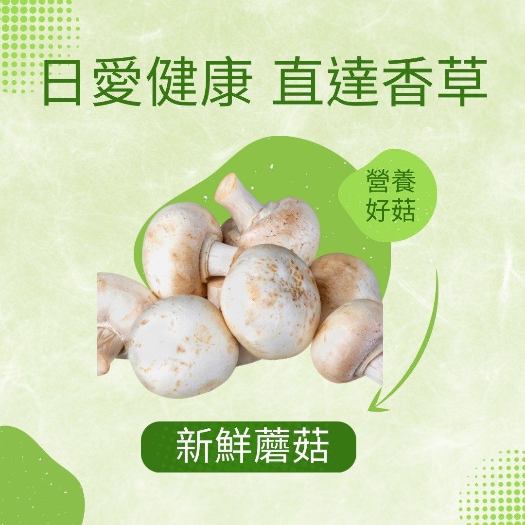 蕈菇類