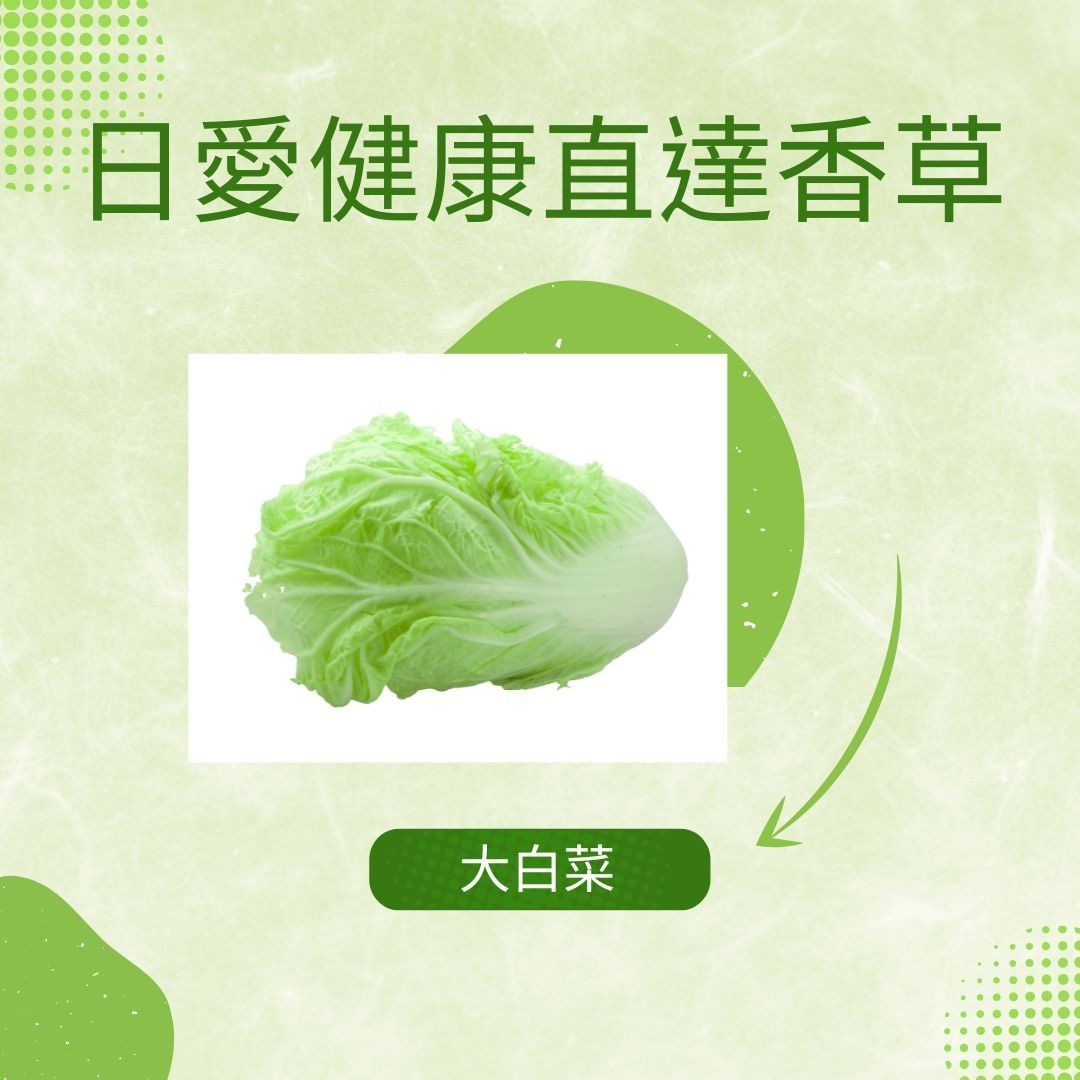 包心白菜