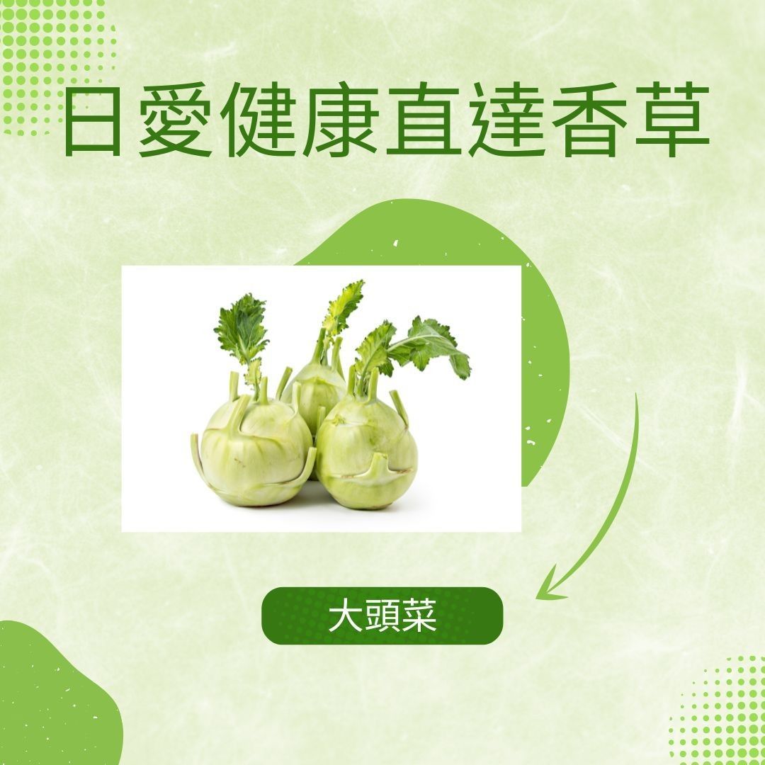 新鮮大頭菜600克