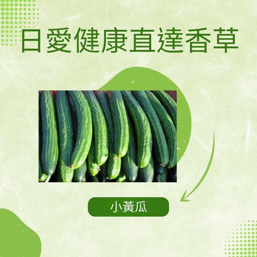小黃瓜300克