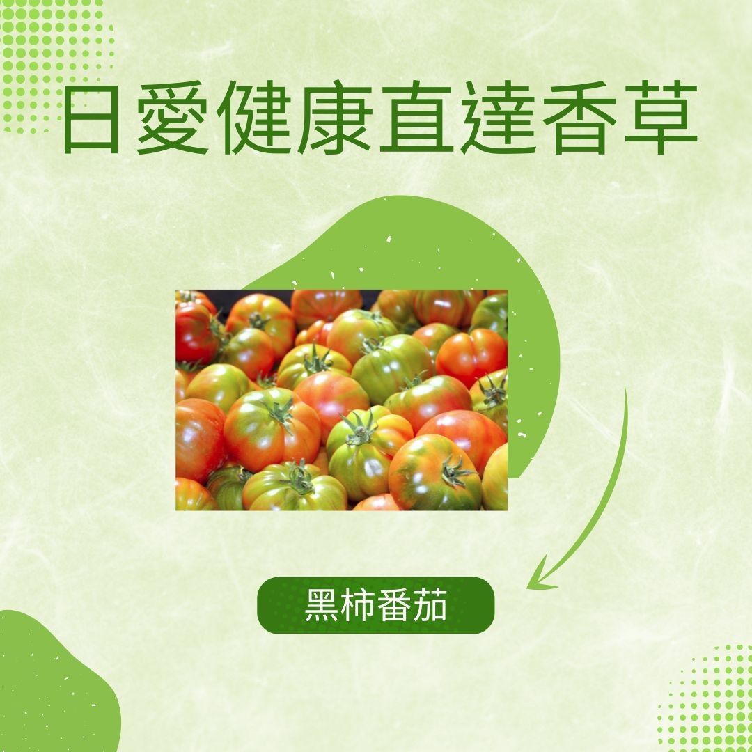 黑柿番茄300克