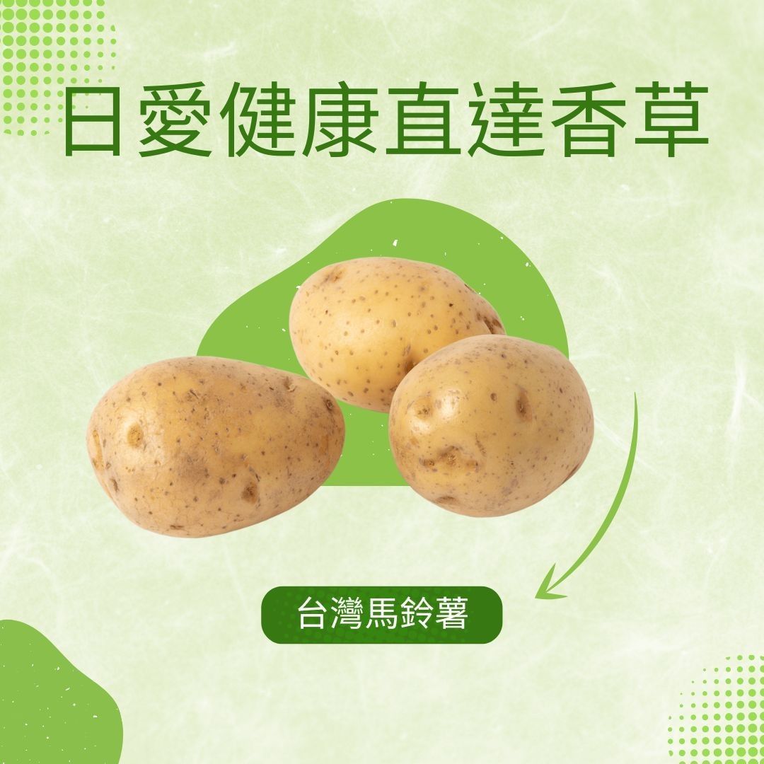 根莖類