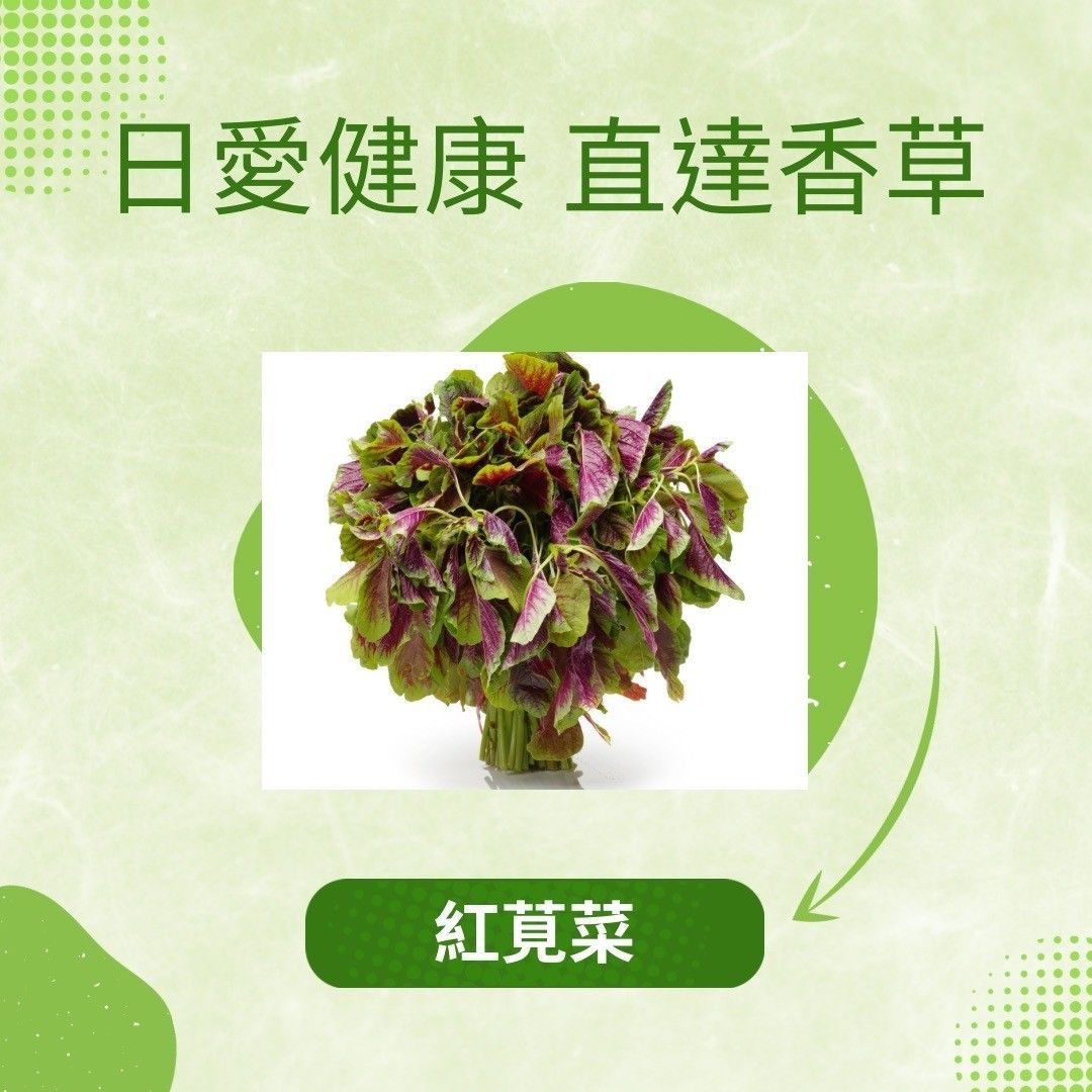紅莧菜300克