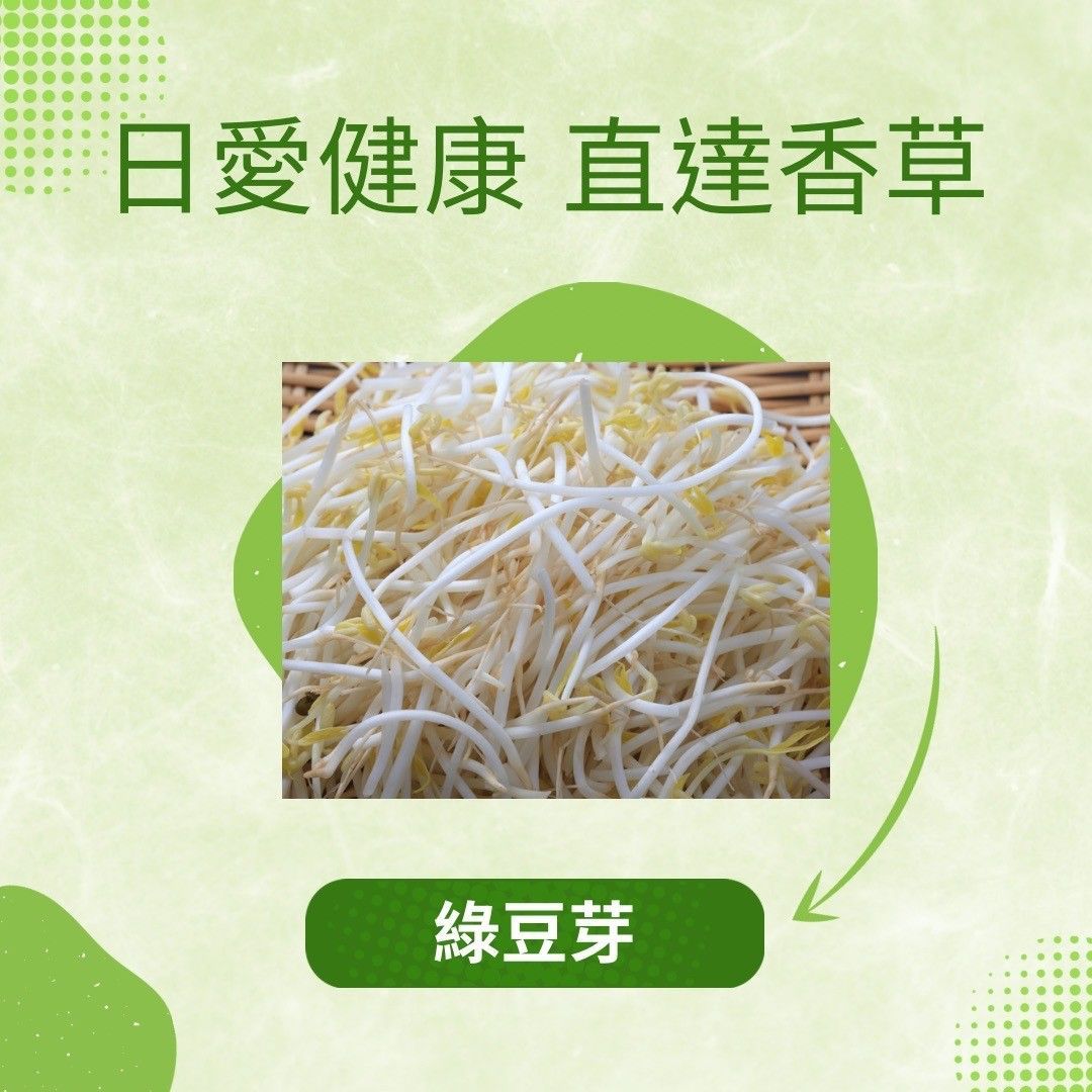 綠豆芽