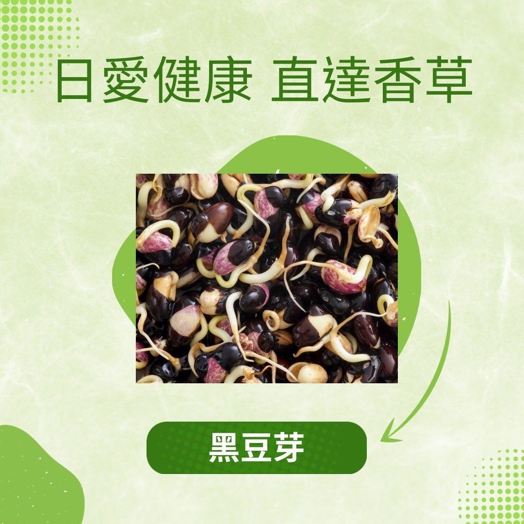 黑豆芽