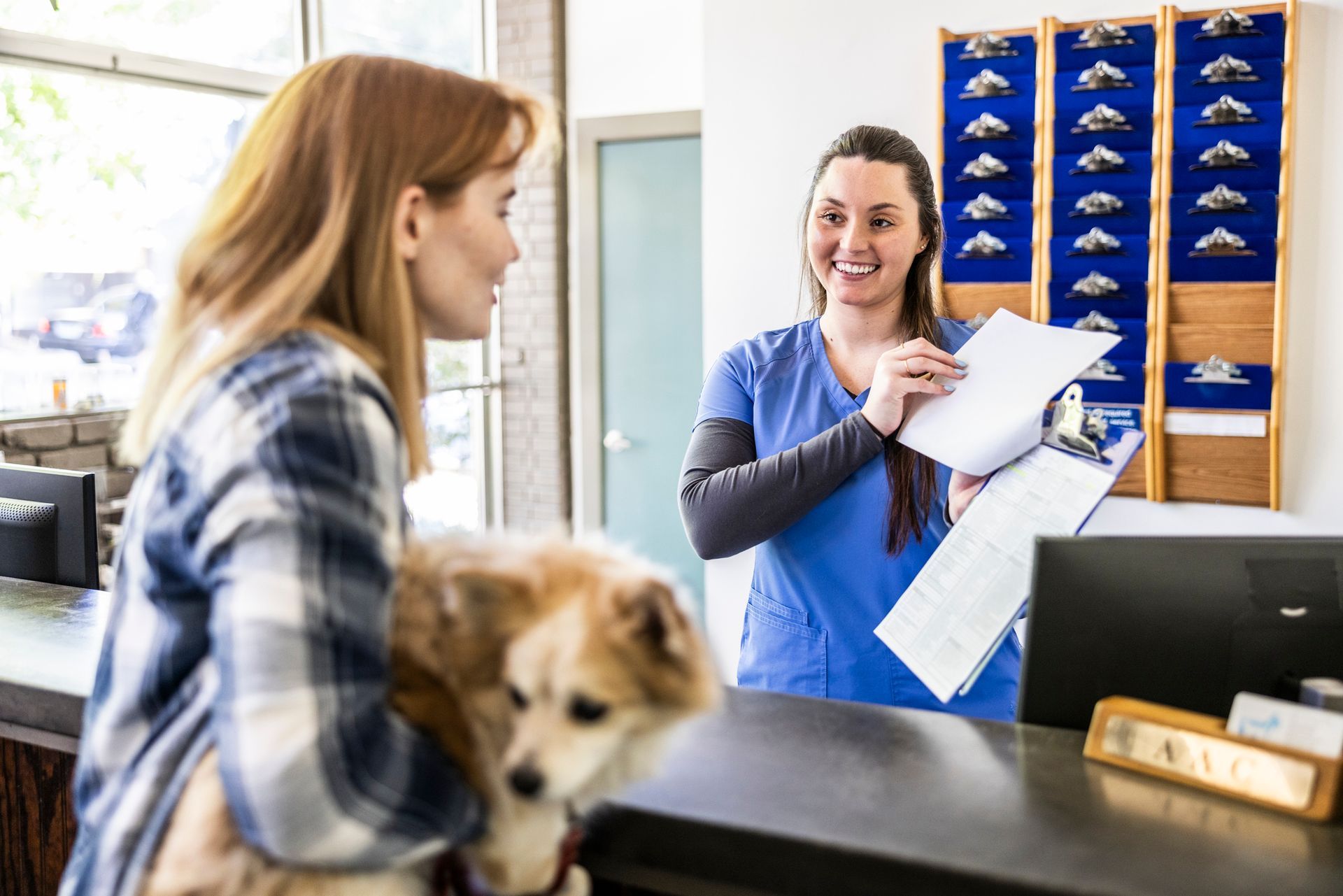 A woman is picking up her dog from the vet. A woman is picking up her dog from the vet.