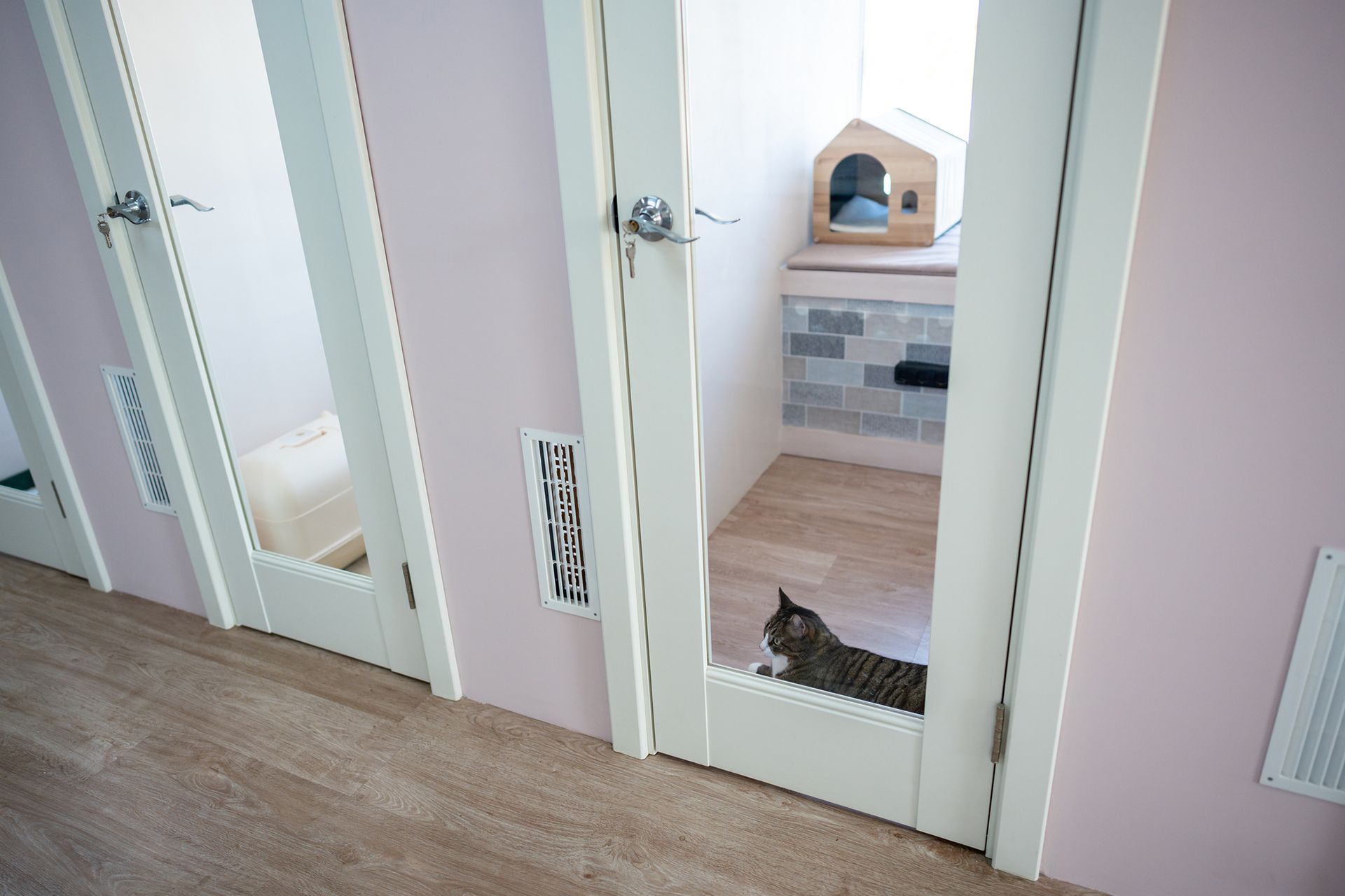 Indoor cat boarding facility with glass doors and a tabby cat inside a room with a small house Indoor cat boarding facility with glass doors and a tabby cat inside a room with a small house