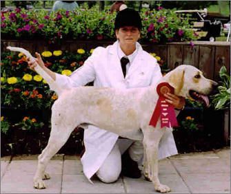 Woman with dog