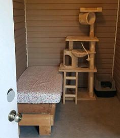Cat room with bed, cat tree, and litter box. Brown walls and a light floor.