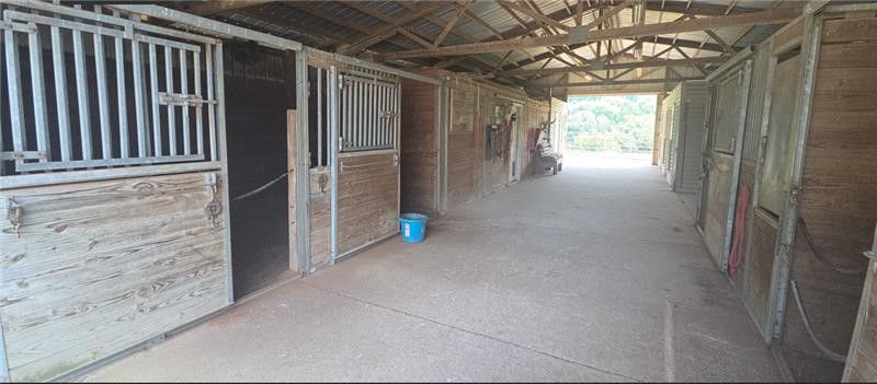 Horses peek out from their stalls in a stable. A chestnut horse is closest, with a white and a brown horse in the background.
