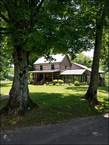 Log cabin nestled among large trees Log cabin nestled among large trees