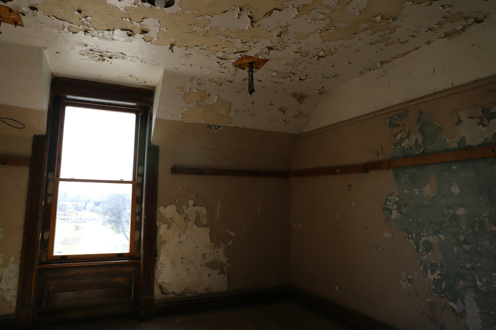 mold removal