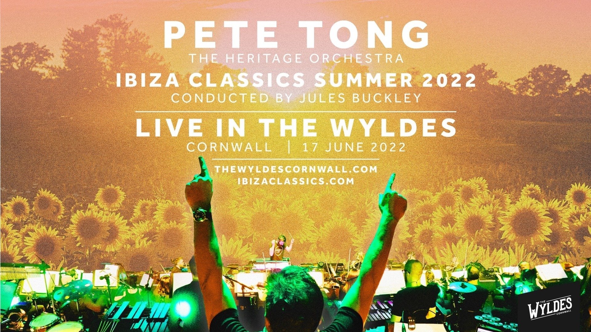 Pete Tong & The Heritage Orchestra Live At The Wildes