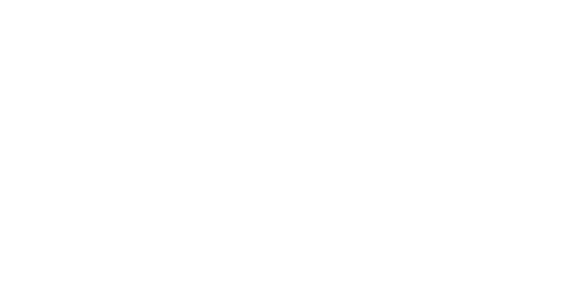 logo-image