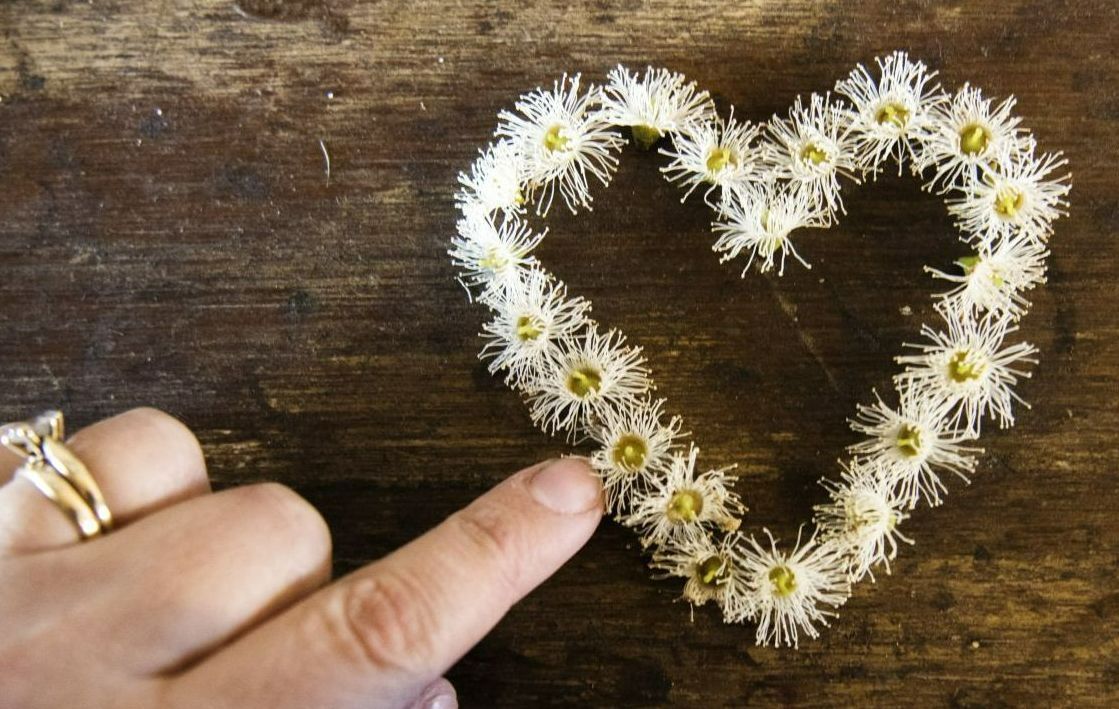 Witte bloemen in de vorm van een hart op een houten achtergrond voor het Zorgeloos Abonnement van Maatjeshulp.