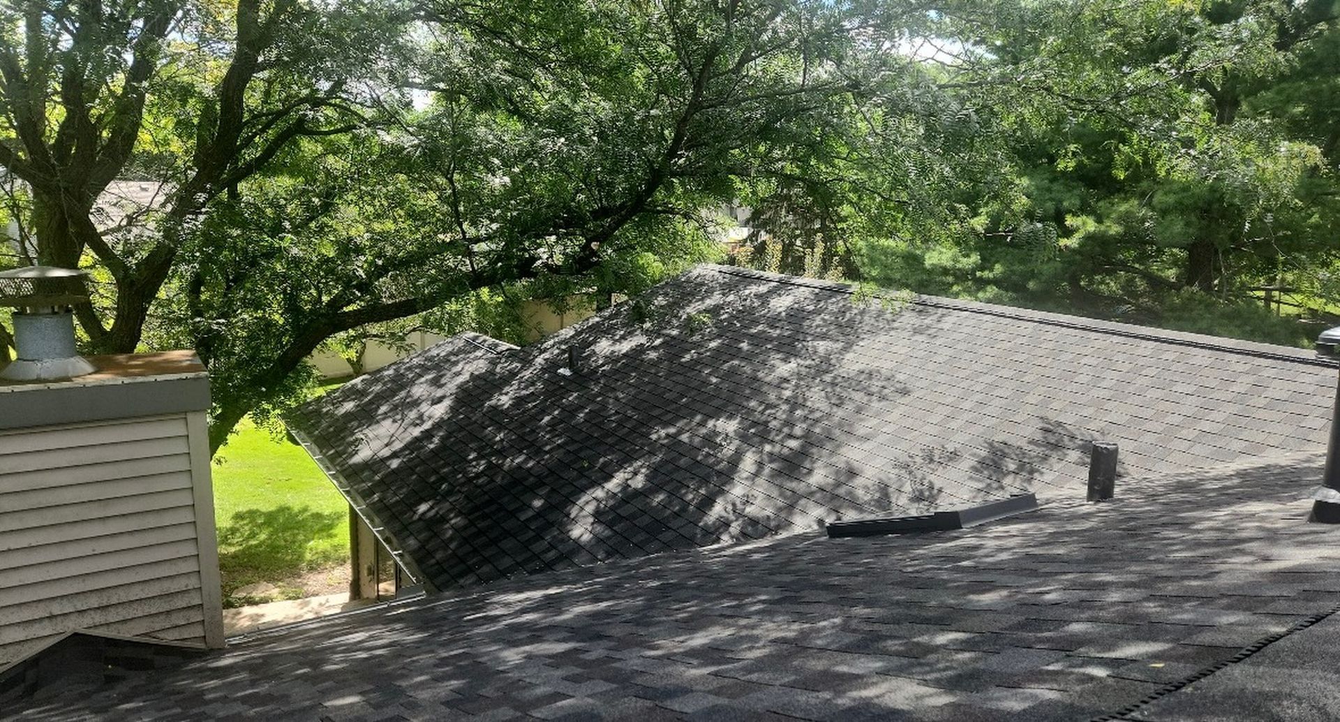 A view from a rooftop looking out at a shingled roof section and surrounding green trees.