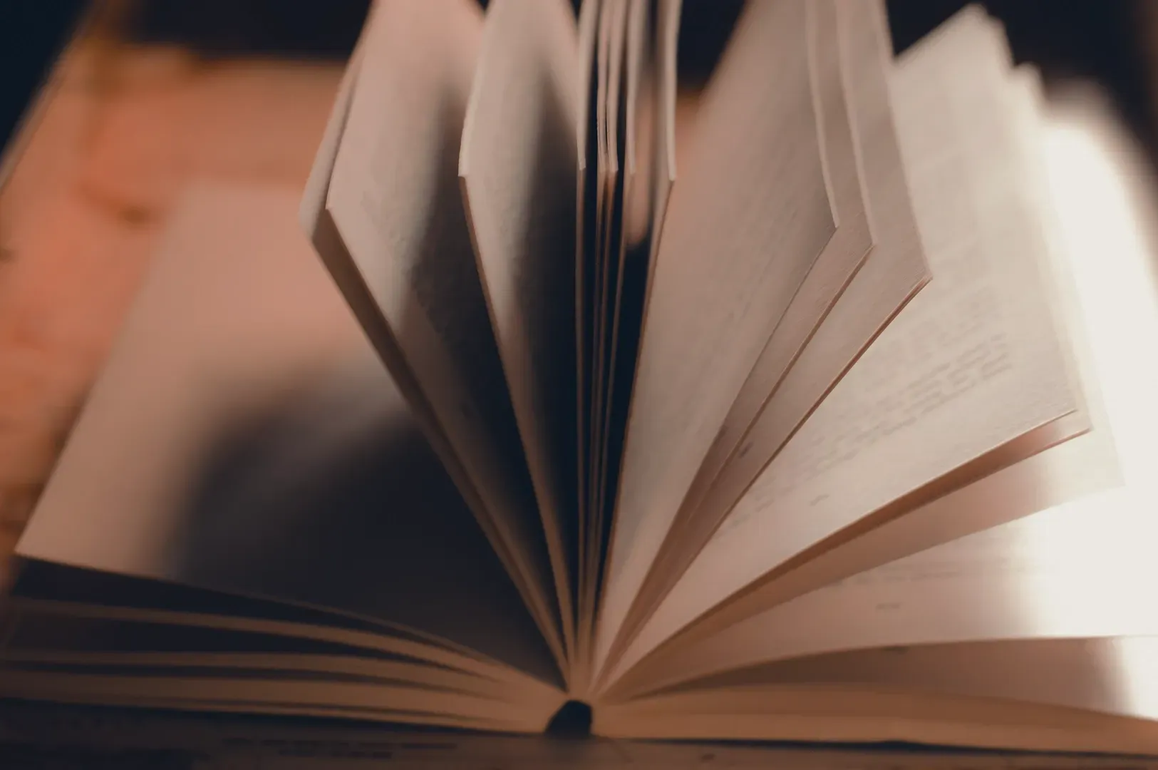 Close-up of an open book with fanned pages in natural light, evoking the intimate, tactile experience of reading as a method for refining personal taste and visual restraint.