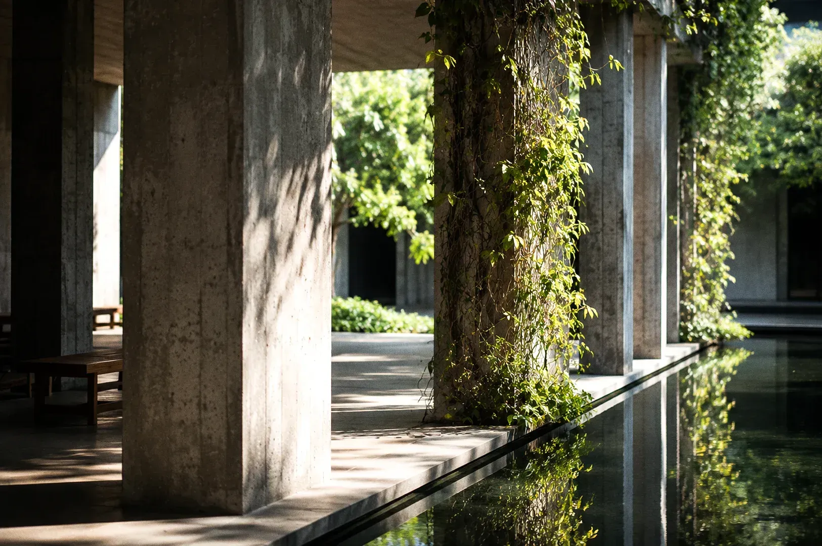 Side-angle shot of concrete pillars with climbing greenery and water reflections symbolizing adaptive leadership, balancing structure and flexibility, and evolving founder decision-making