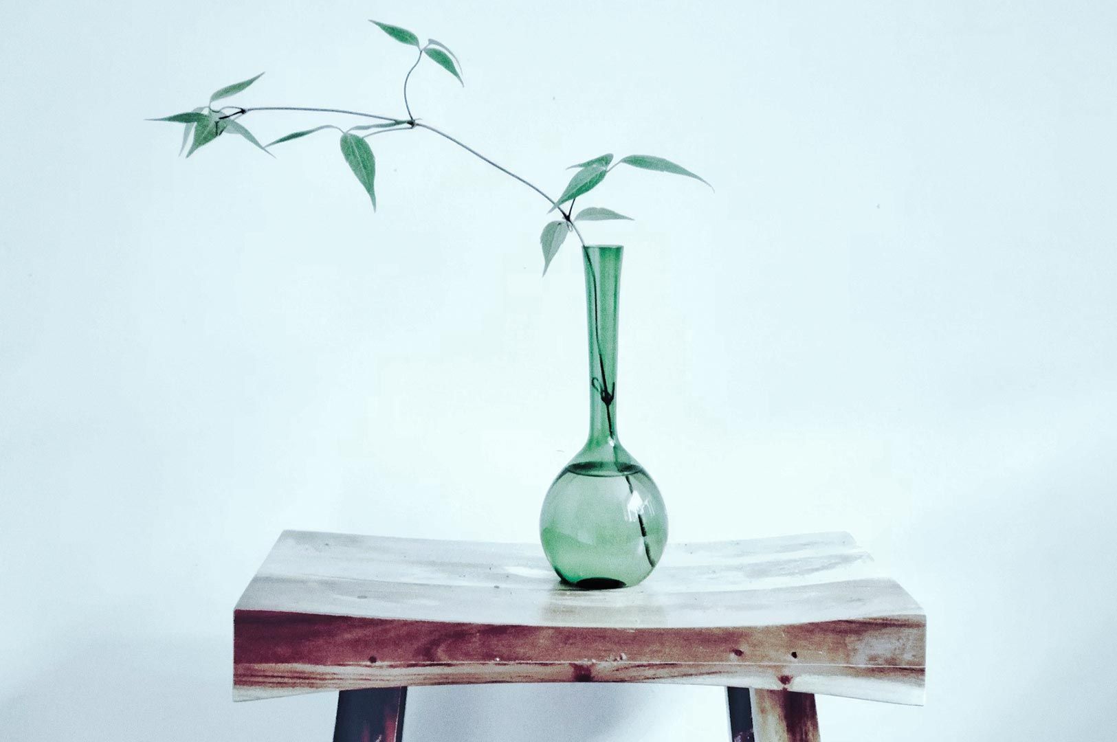 Green glass vase with a single leafy branch on a rustic wooden stool against a pale background, minimalist home decor photo for interior styling.