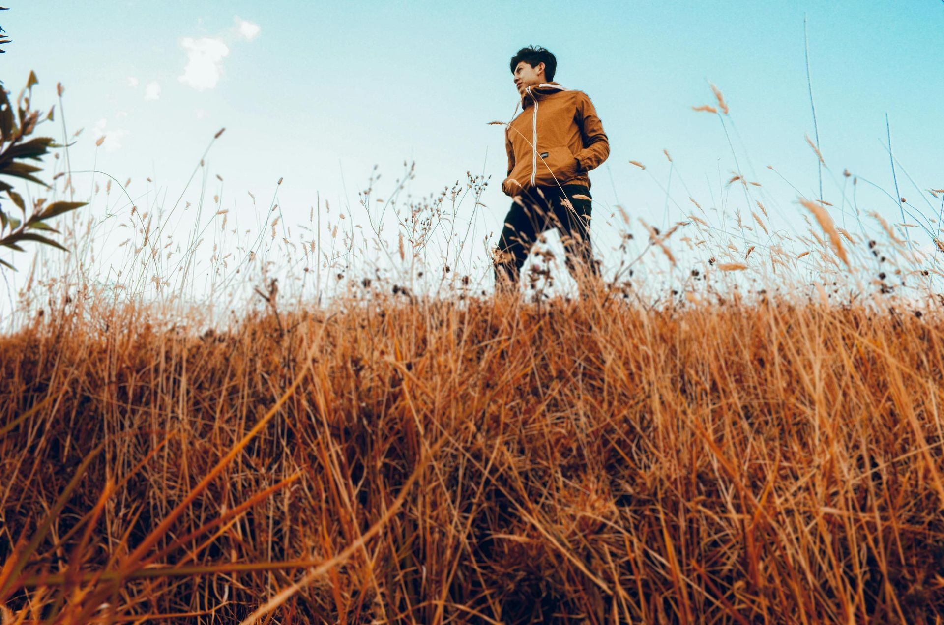 A low-angle shot captures a young man standing amidst a field of tall, golden-brown grass, wearing a brown jacket and dark pants. The clear blue sky provides a bright backdrop as he looks away into the distance, framed by the textured vegetation in the foreground.